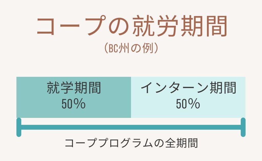 カナダのコープはプログラムの50％がインターン期間