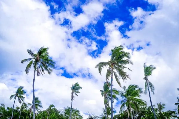 tropical-blue-sky